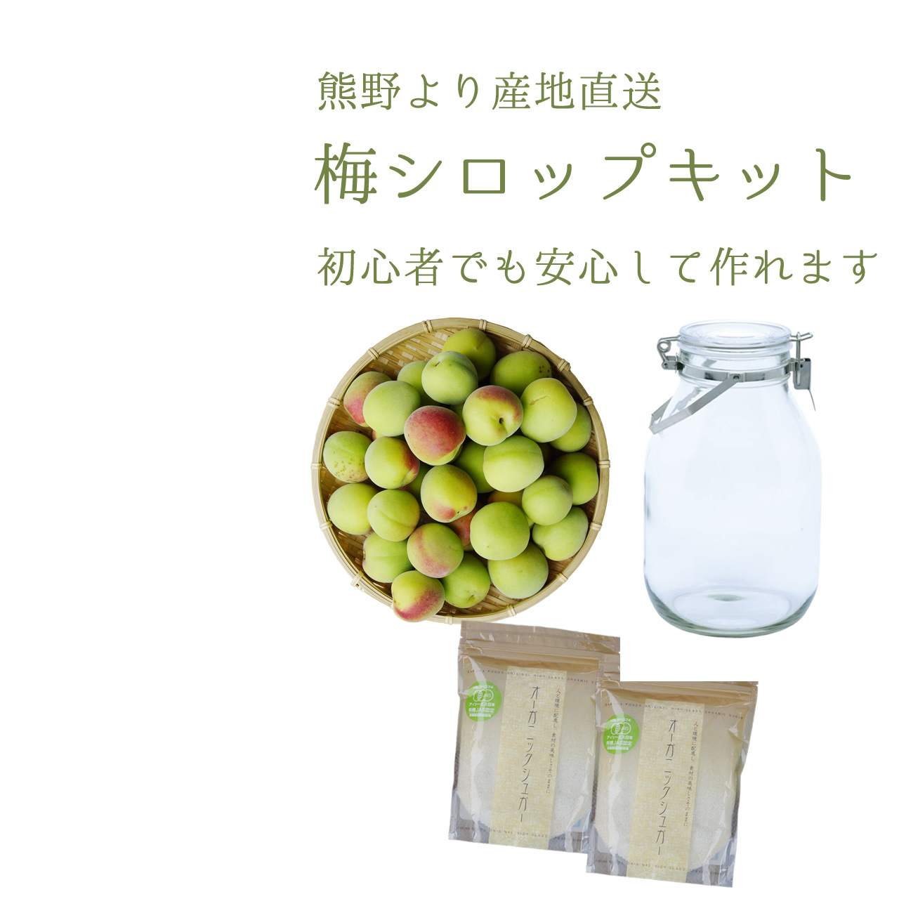 生梅の産地直送 産直 通信販売 通販 紀州無農薬生梅 梅シロップ用生梅の初心者入門簡単キット