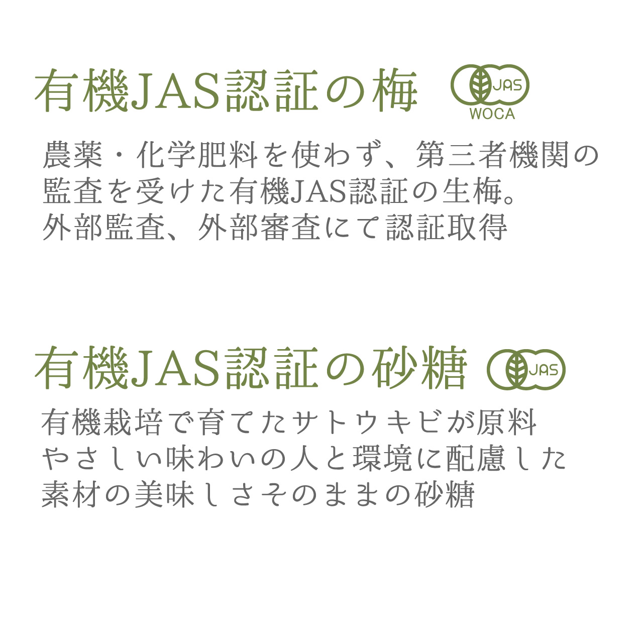 生梅の産地直送 産直 通信販売 通販 紀州無農薬生梅 梅シロップ用生梅の初心者入門簡単キット